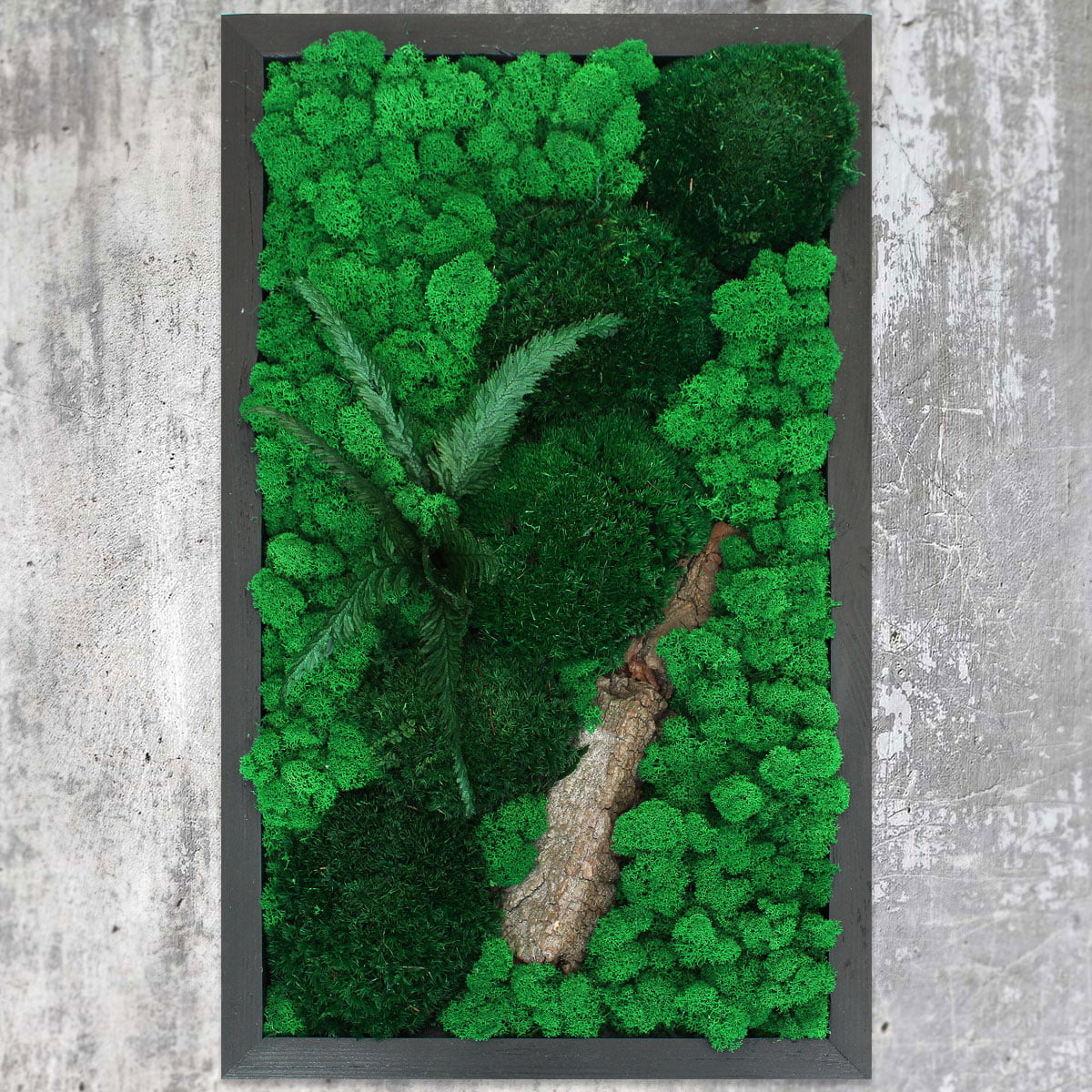 obraz z mchu i paproci