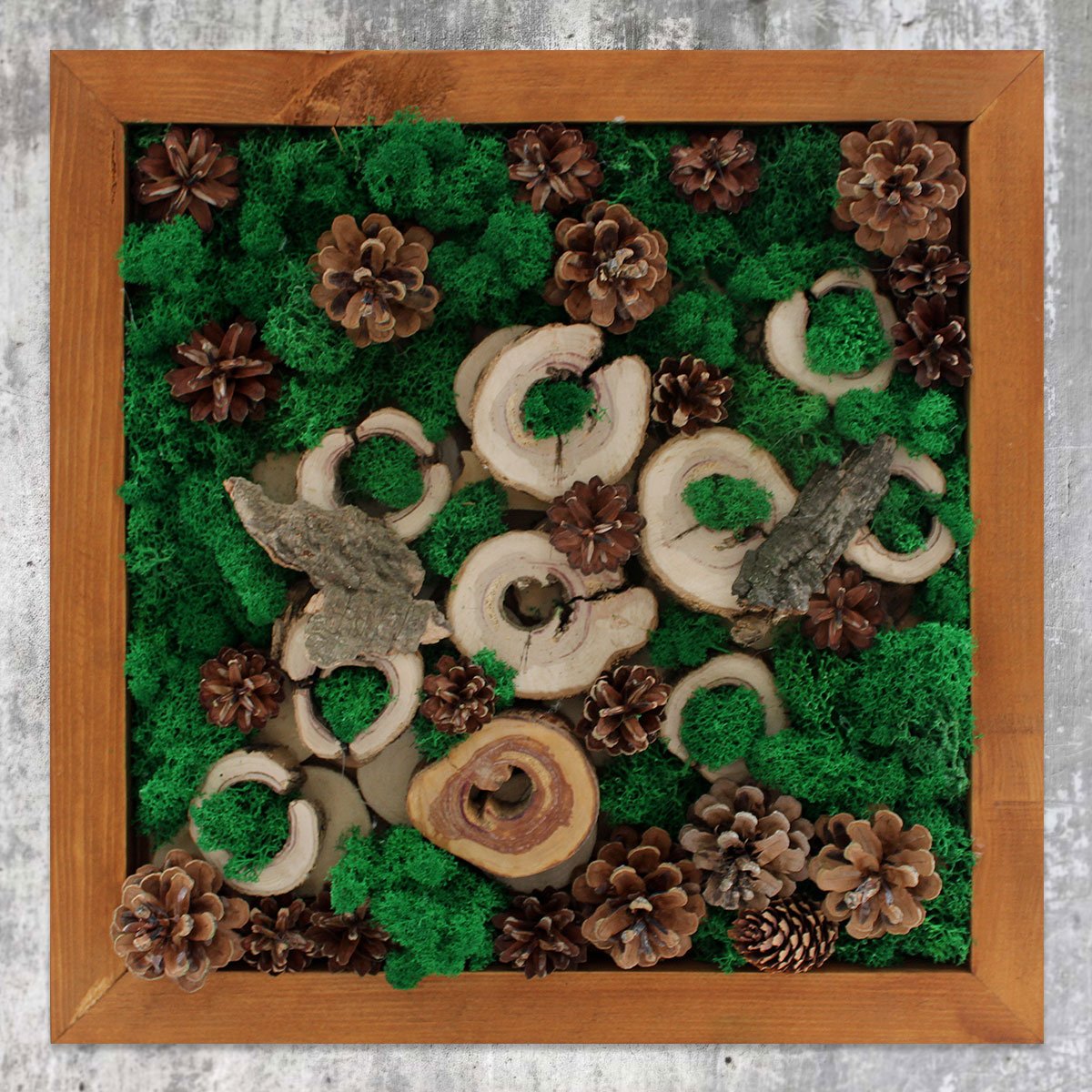 Obraz z mchu i plastrów bzu