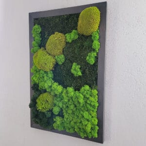Obraz z mchu i chrobotka 40x60cm