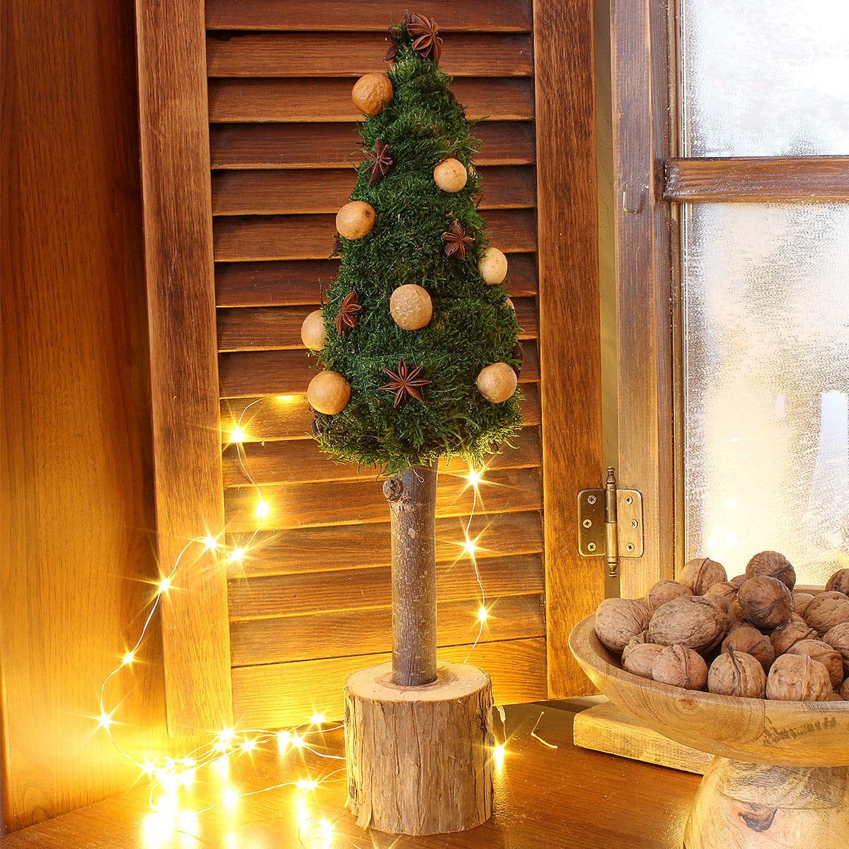 Choinka z mchu płaskiego