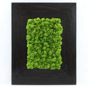 Obraz z chrobotka 37x46,5 cm