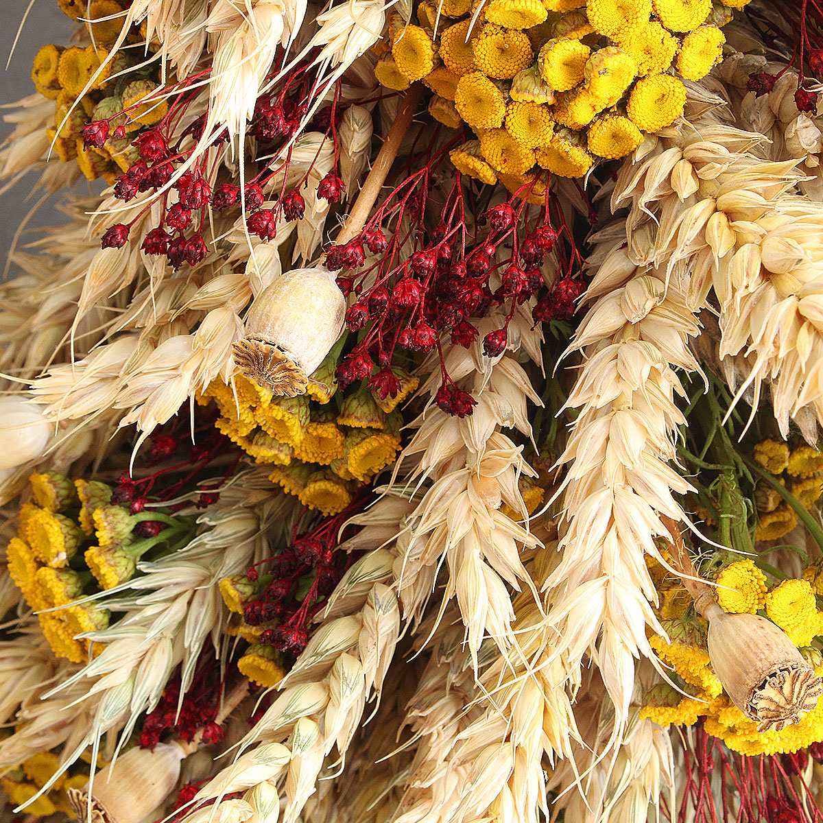 Wianek z pszenicy i wrotyczu